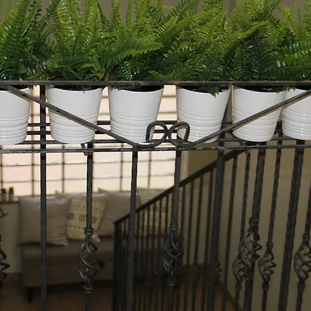 Guest house Vignola 3*